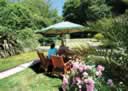 Franklyn Guest House - Garden